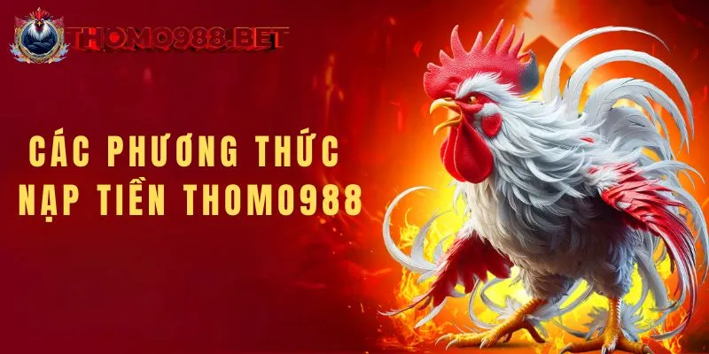 Các phương thức nạp tiền THOMO988