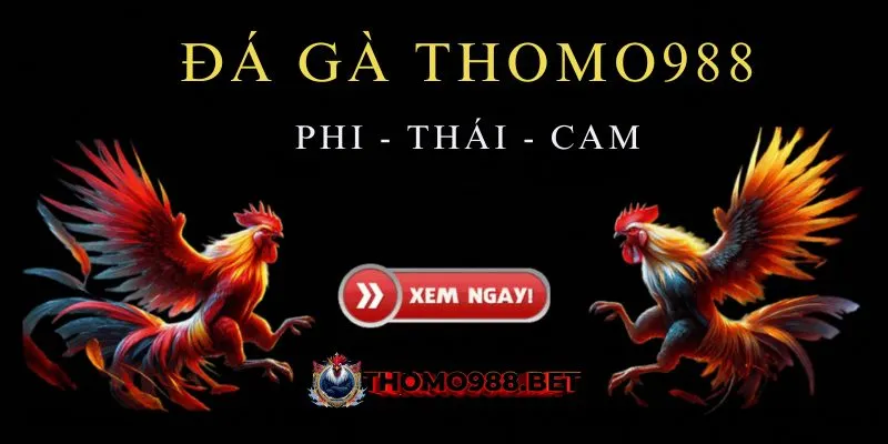 Giới thiệu Thomo988 - Thông tin khái quát